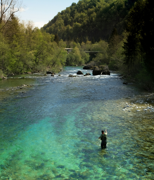 Fly Rods